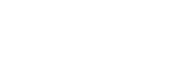 Digitus Store